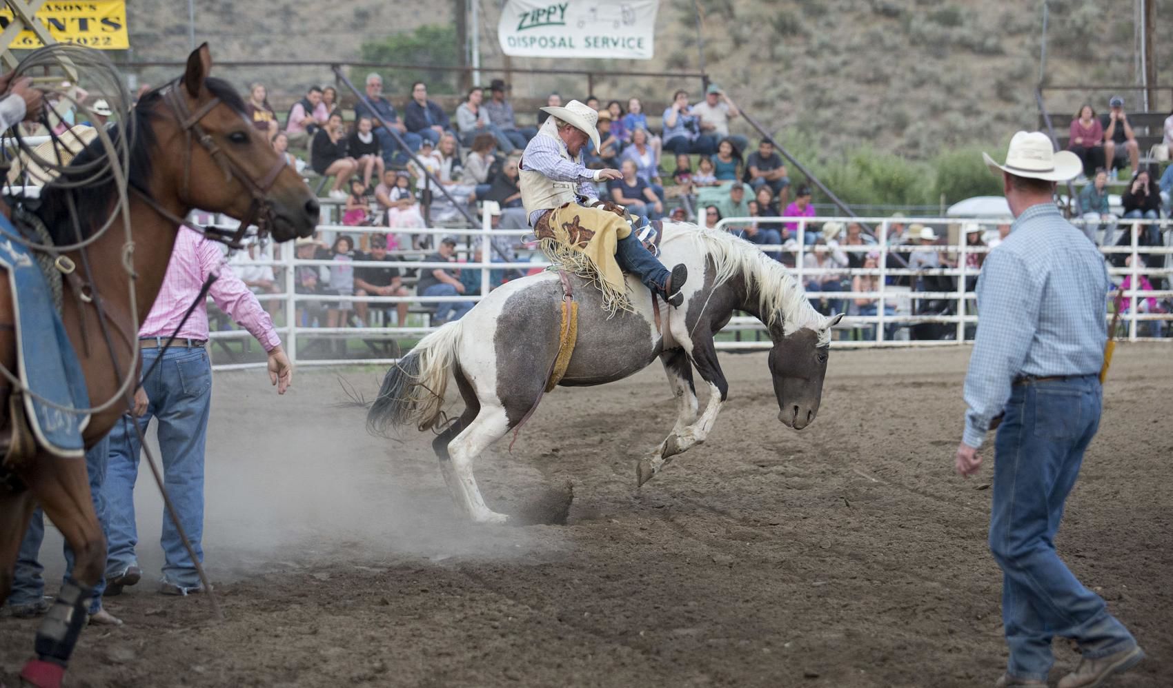 Rodeo file pic.jpg